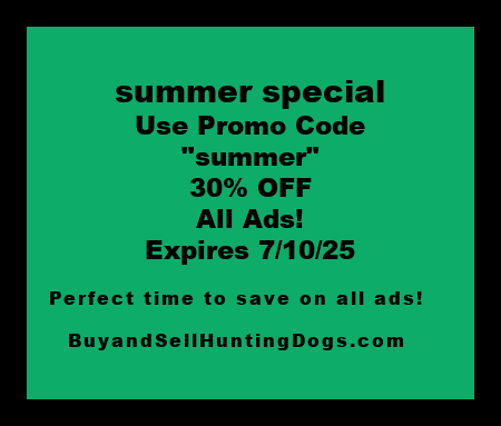 summer special